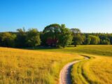 Provinz Schonen Schweden – Urlaub im Süden